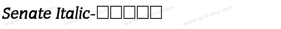 Senate Italic字体转换